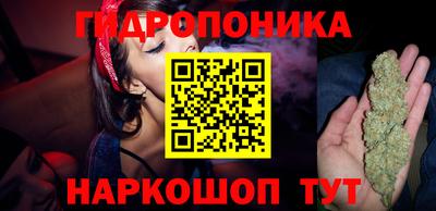индика Долгопрудный