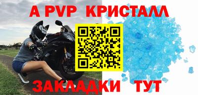 бошки Дмитров