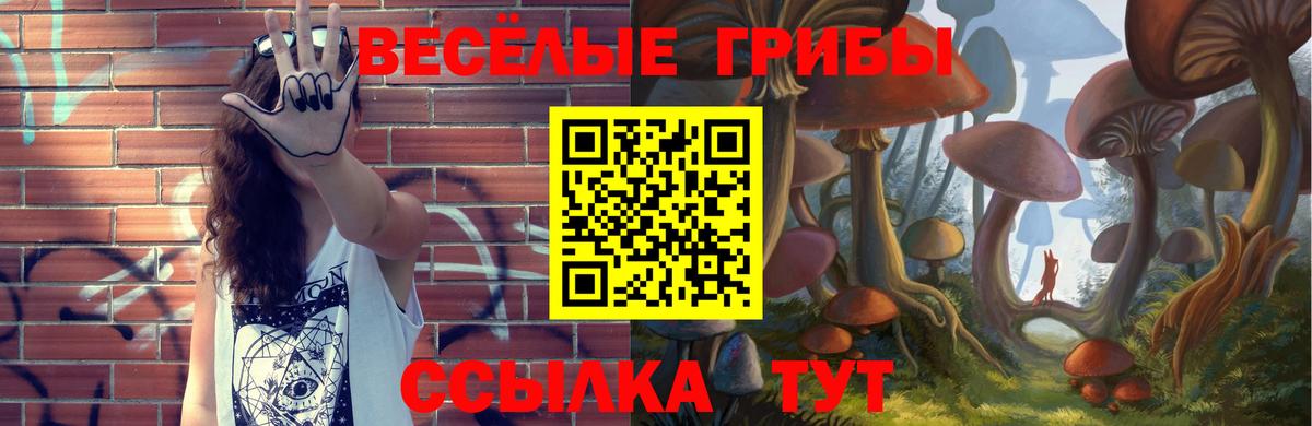 сколько стоит  Псилоцибиновые грибы Cubensis  Вход с VPN  Волжский 